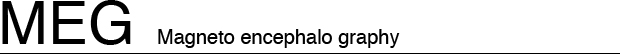 MEG